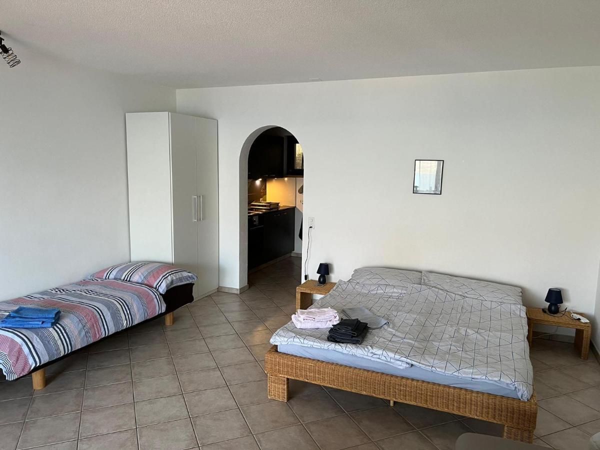 1 Zimmer Apartment Mit Seesicht Und Pool Gambarogno 외부 사진